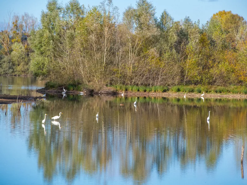 L’espace naturel sensible de l’étang de Lemps accueille l’un des 70 parcours d’orientation aménagés en Isère.