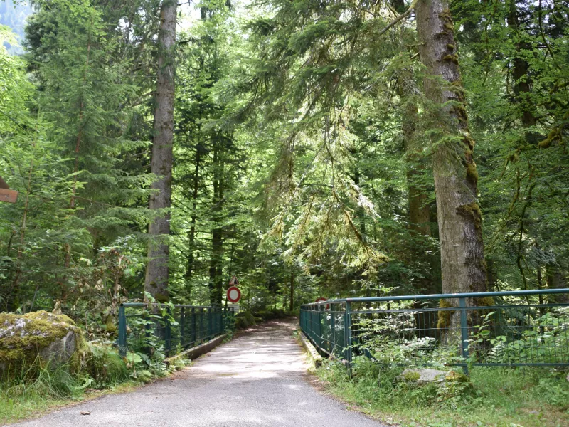 La forêt de Saint-Hugon : un site historique et spirituel.