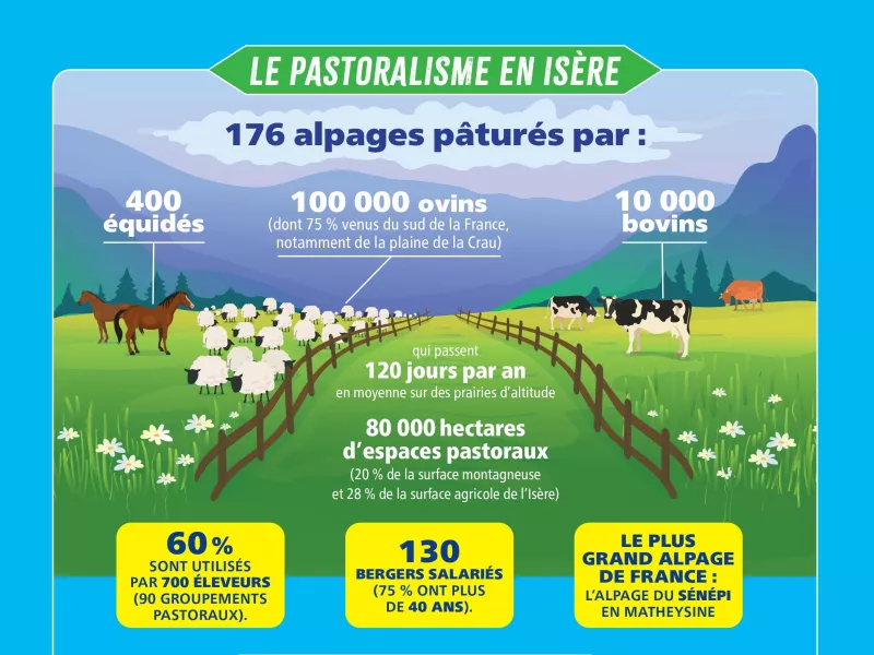 Le pastoralisme en Isère