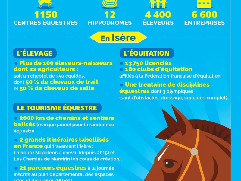 infographie de la filière cheval en Isère